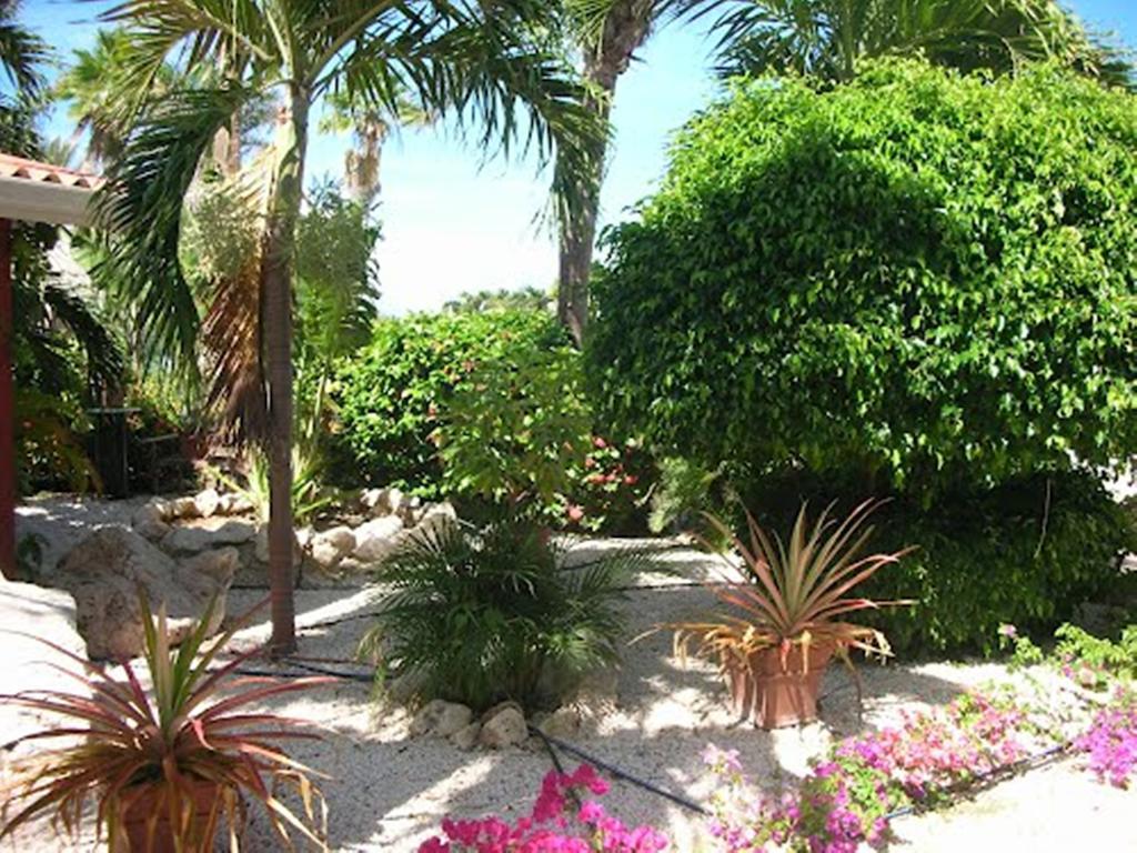 Seru Coral Resort Studio 16 Willemstad Eksteriør bilde